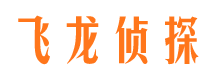 振兴市婚姻调查